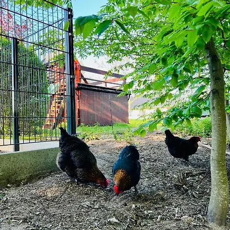 Spreewaeldchen Daire