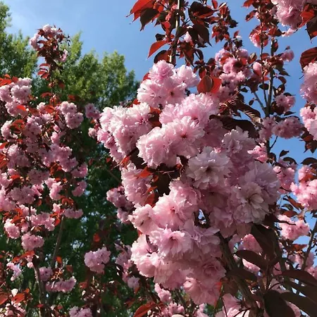 Spreewaeldchen Lübben