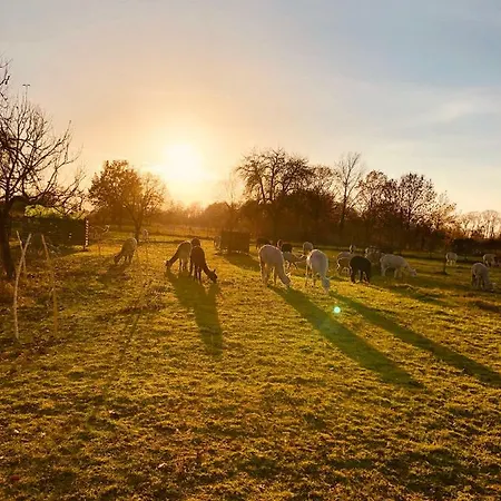 Spreewaeldchen * Lübben