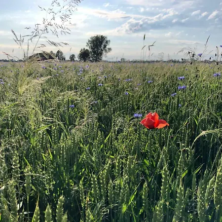 Appartement Spreewaeldchen Lübben