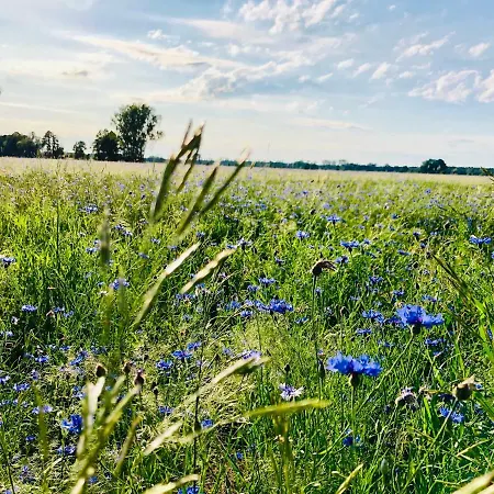 Daire Spreewaeldchen