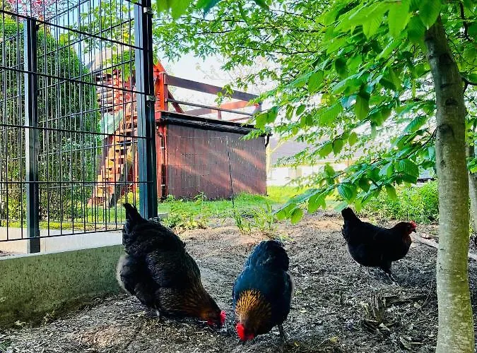 Spreewaldchen Lejlighed