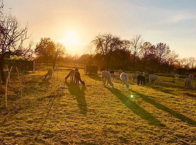 Spreewaldchen * Lübben