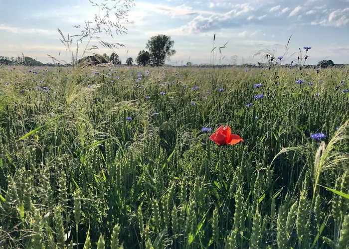 Lejlighed Spreewaldchen Lübben