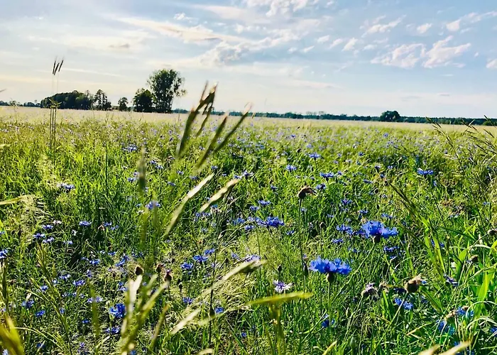 Lejlighed Spreewaldchen